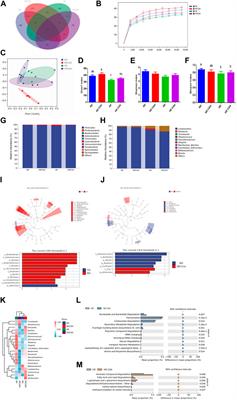 Effects of dietary chlorogenic acid on ileal intestinal morphology, barrier function, immune factors and gut microbiota of broilers under high stocking density stress